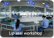 Lip seal workshop