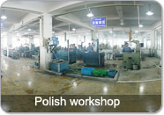 Polish workshop